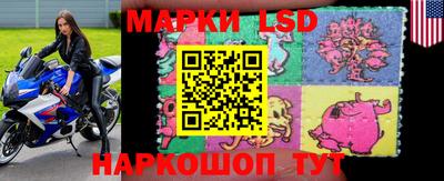mdma Аргун