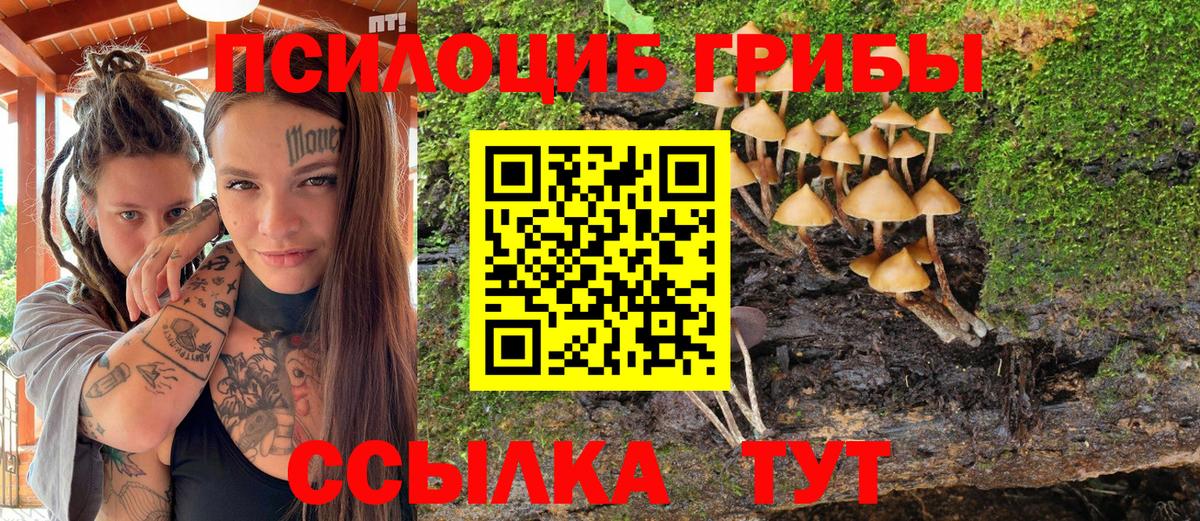 Галлюциногенные грибы GOLDEN TEACHER Бугуруслан